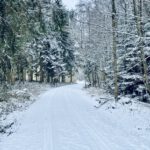 Winterwald bei Reinhardsachsen