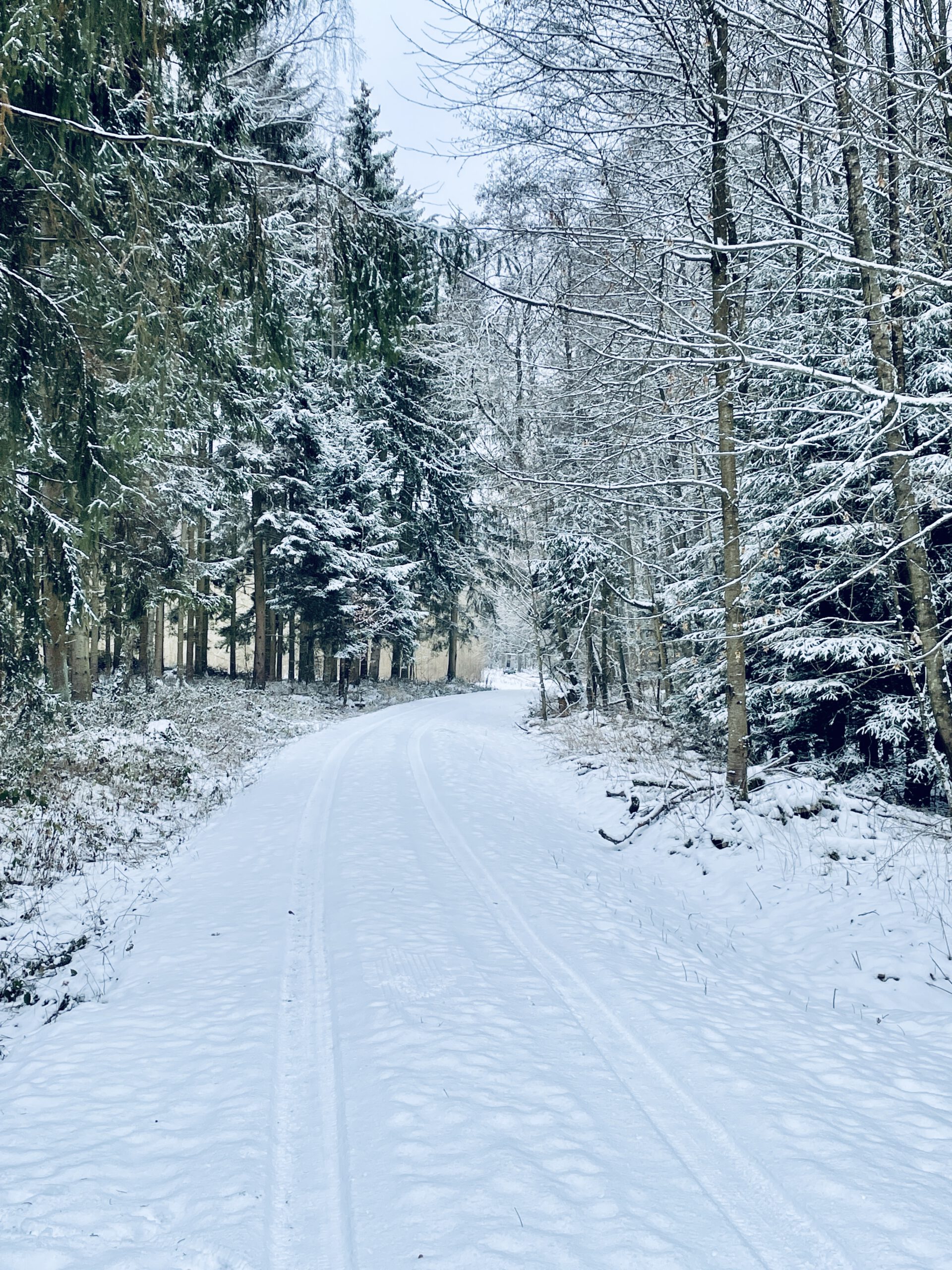 Winterwald bei Reinhardsachsen